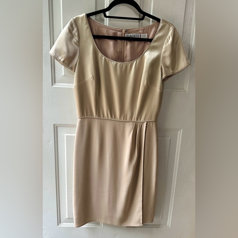 Black Tie Oleg Cassini Champagne Colored Dress
